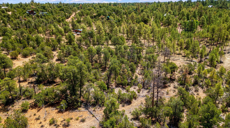 207-18-007H-HeberOvergaard-AZ-4