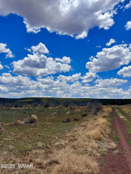 13 County Rd 8122, Concho, Arizona 85924, ,Land,For Sale,County Rd 8122,256828