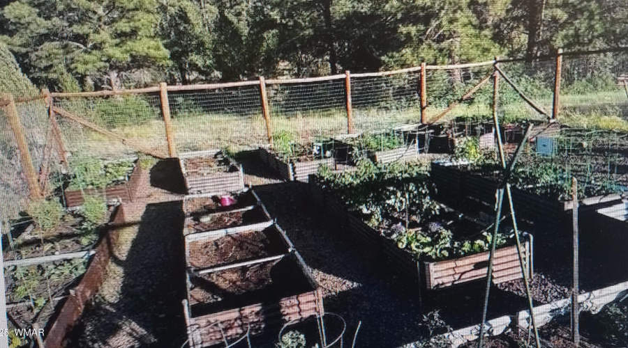tatanka garden