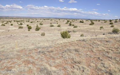 23G Powerline Rd, Taylor, Arizona 85939, ,Land,For Sale,Powerline Rd,256833