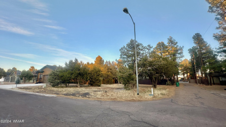801 Bushman Lane, Show Low, Arizona 85901, ,Land,For Sale,Bushman,256317