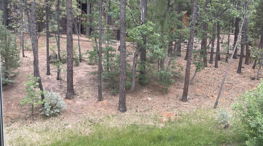 Park Model Picture Window View Backyard