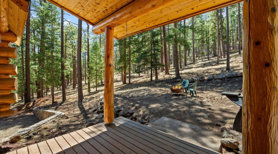 Back deck facing USFS