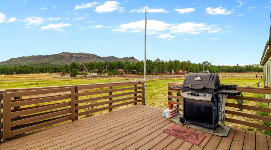 25350US191-Alpine-AZ-3