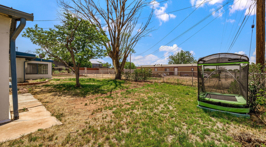 126ECatlleLn-Taylor-AZ-36