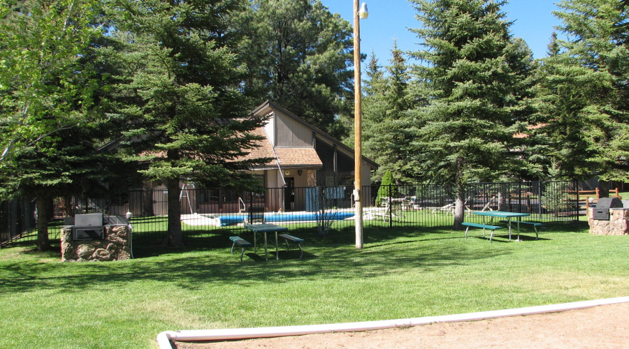 Volleyball & Swimming Pool