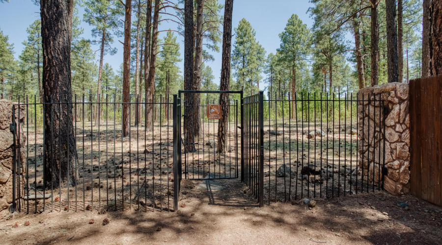 National Forest Access