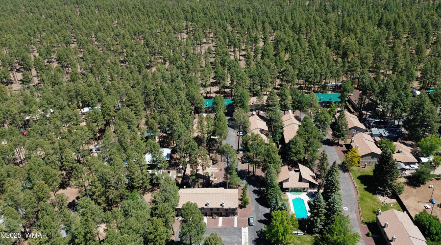 Shorter Walk to National Forest Trails