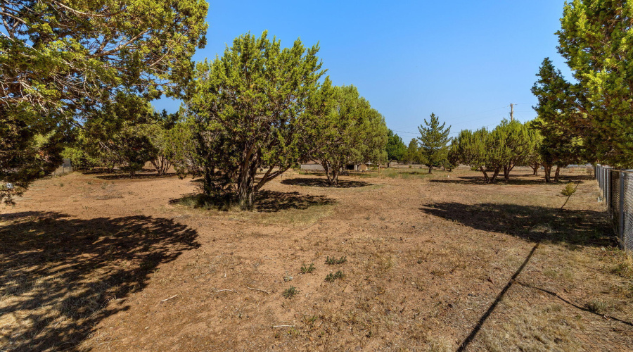 1276LonePineDamRd-ShowLow-AZ-36