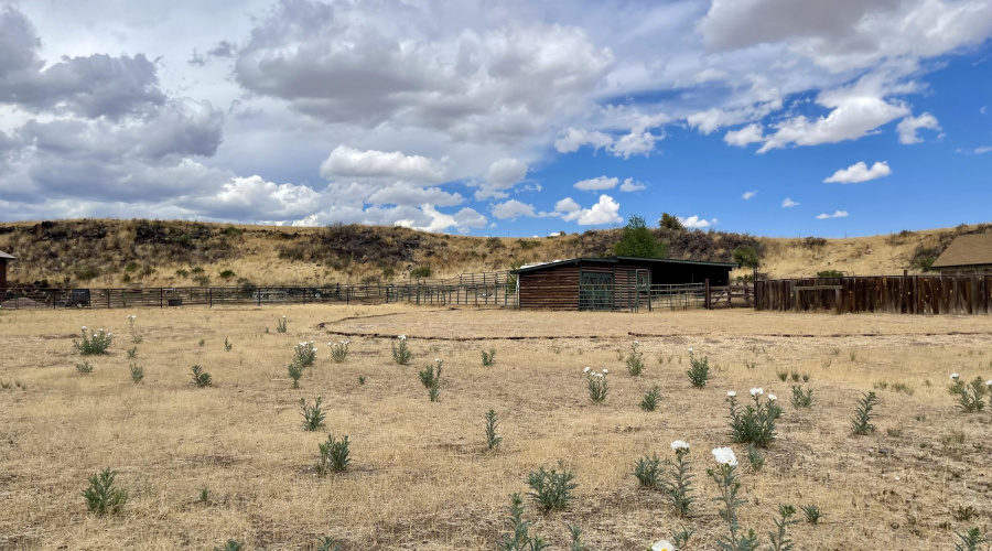 183 Becker Lake, Springerville