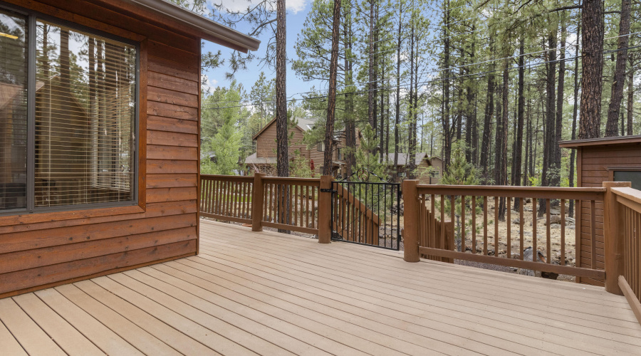 2815 Blue Lake CIrcle, Pinetop (27)