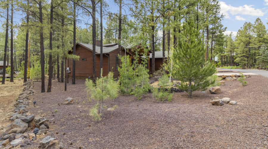 2815 Blue Lake CIrcle, Pinetop (31)