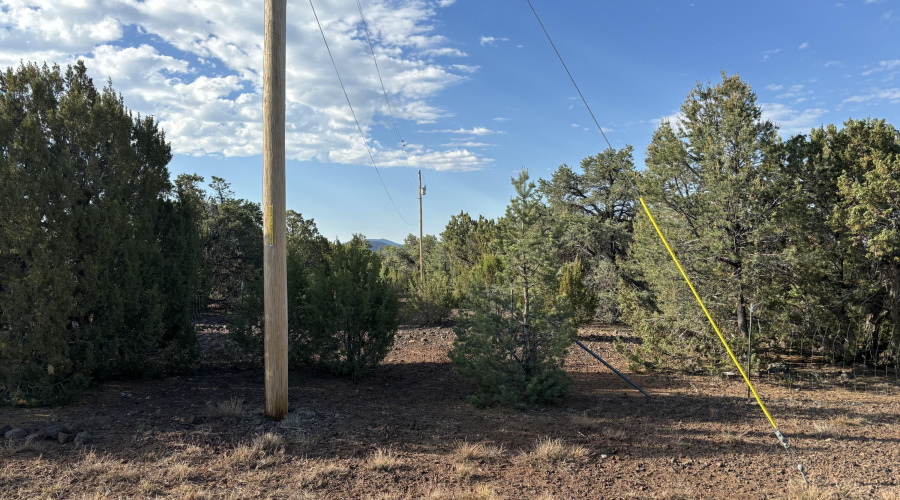 Electric Pole East of Property
