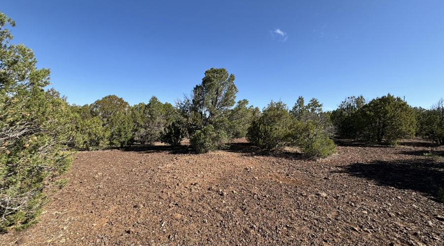 Plenty of Build Site Available