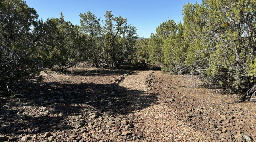 Walking Path on Property