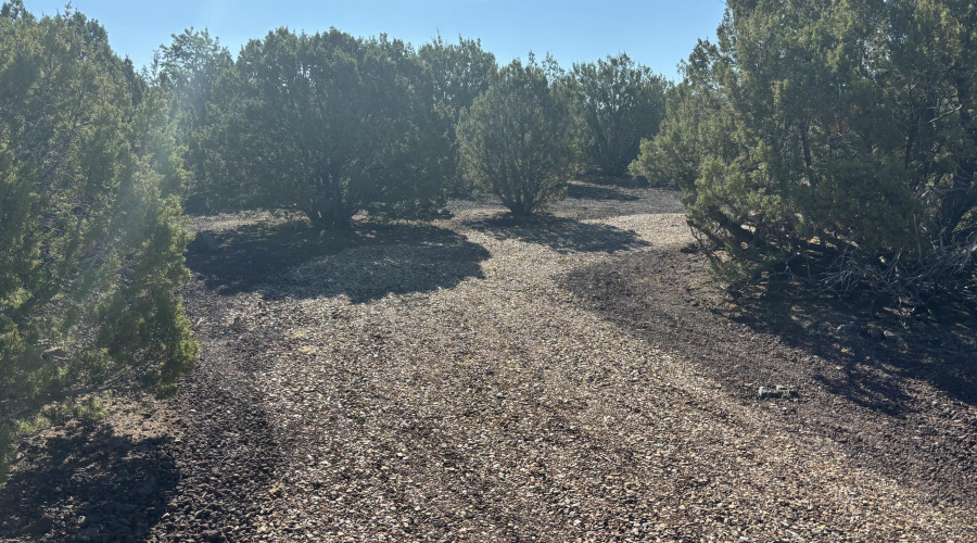 Entrance to property