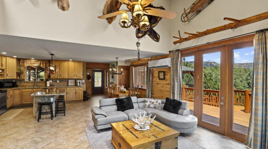 Living Room - Kitchen