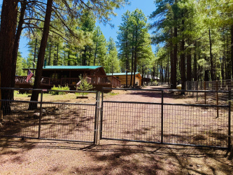 481 Long Valley Road, Happy Jack, Arizona 86024, Bedrooms, ,Bathrooms,Residential,For Sale,Long Valley,92554