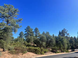 2001 FEATHER PLUME Lane, Payson, Arizona 85541, ,Land,For Sale,FEATHER PLUME,89014