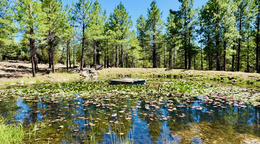 Private pond