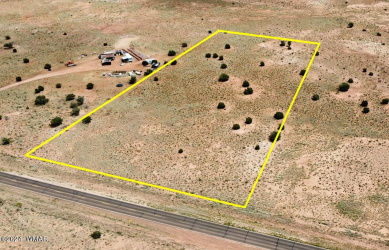 8079 Concho Highway, Snowflake, Arizona 85937, ,Land,For Sale,Concho,251234