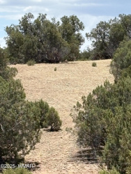 15D Lazy O Rd, Show Low, Arizona 85901, ,Land,For Sale,Lazy O Rd,256920