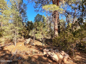 3377 Mogollon Drive, Overgaard, Arizona 85933, ,Land,For Sale,Mogollon,256699