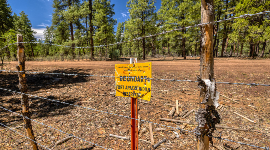 photo(34)a 950 Cooper Lane LS Jenn 0705