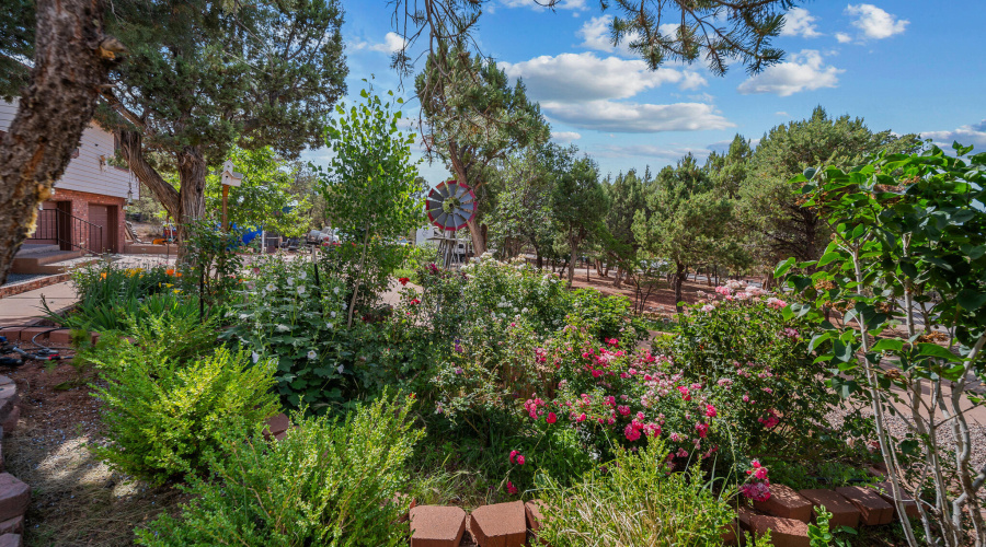 twinflamerealestatemedia-36 (1)