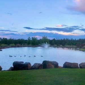 Evening