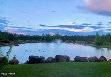 9576 Sierra Springs Drive, Pinetop, Arizona 85935, ,Land,For Sale,Sierra Springs,256962