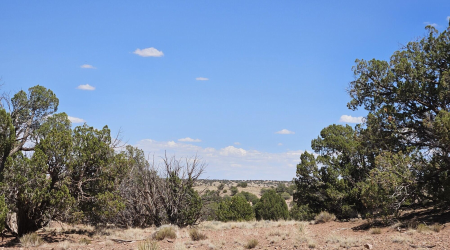 Resized_20250709_133837