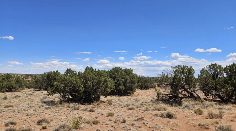 Resized_20250709_133530