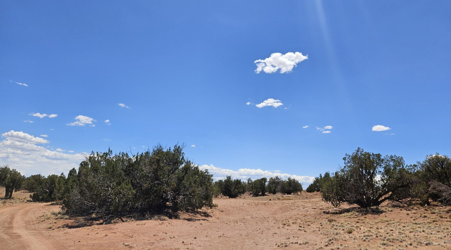 Resized_20250709_133540