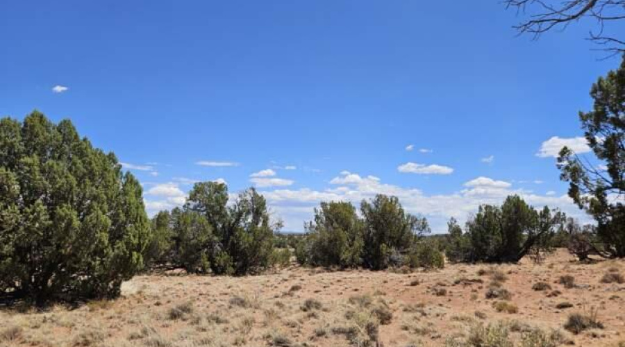 Resized_20250709_133343