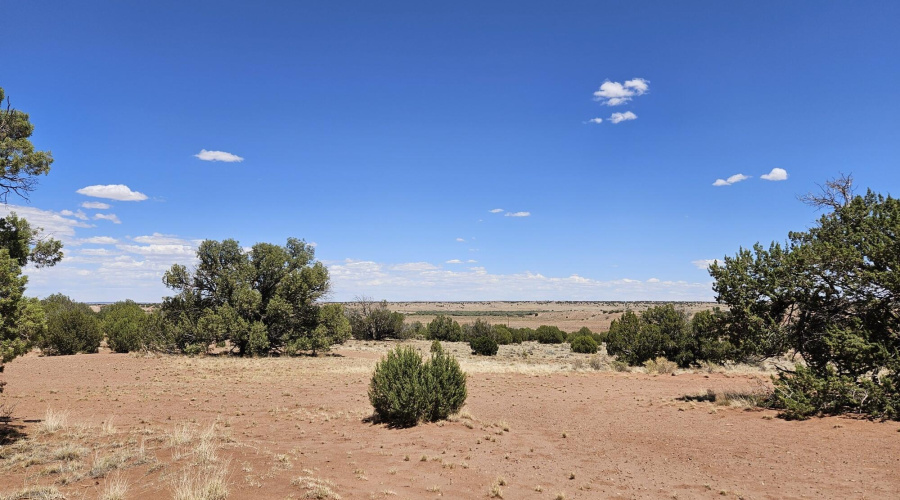 Resized_20250709_133402