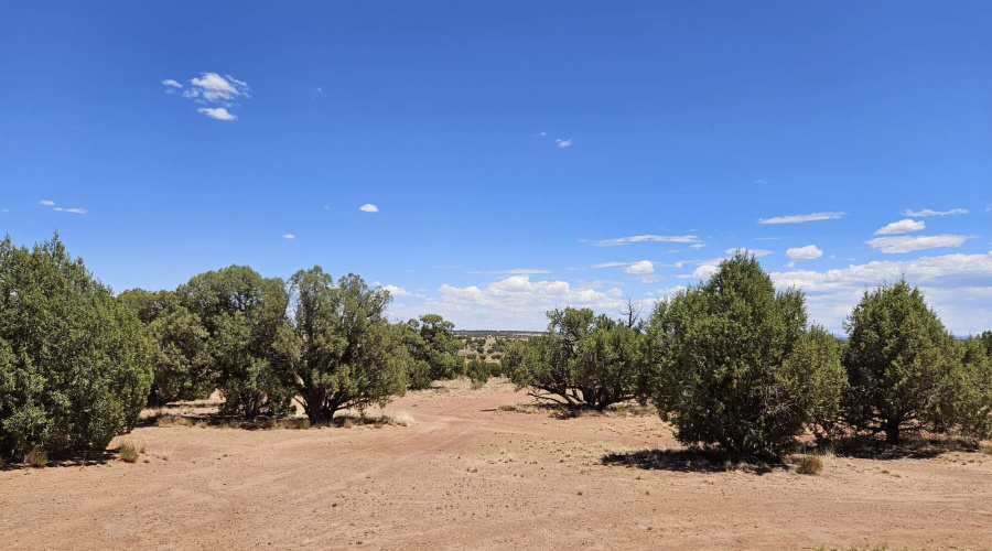 Resized_20250709_133225