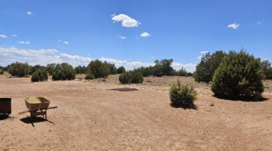 Resized_20250709_133056