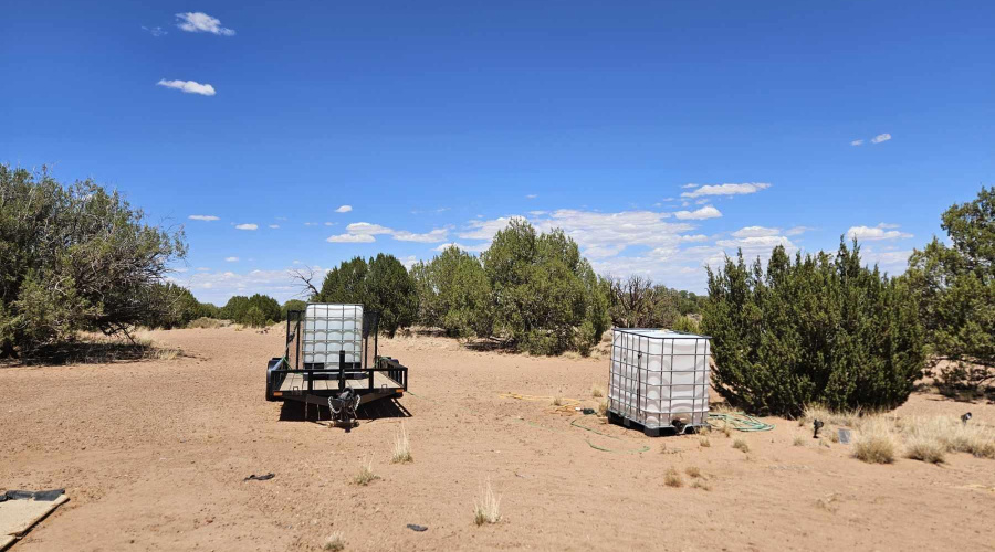 Resized_20250709_133059