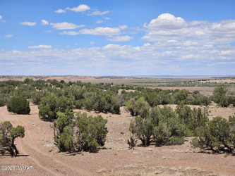 27 9183, Concho, Arizona 85924, ,Land,For Sale,9183,256969