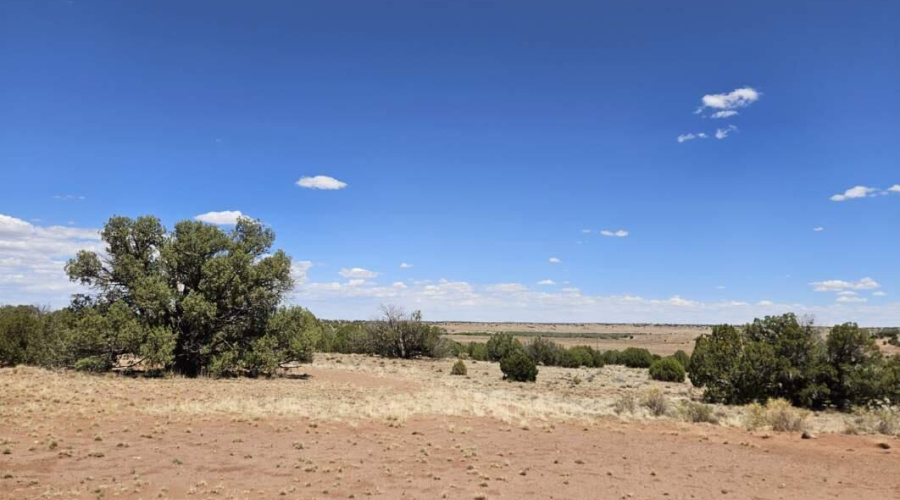 Resized_20250709_133452