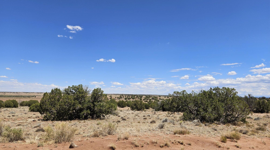 Resized_20250709_133505