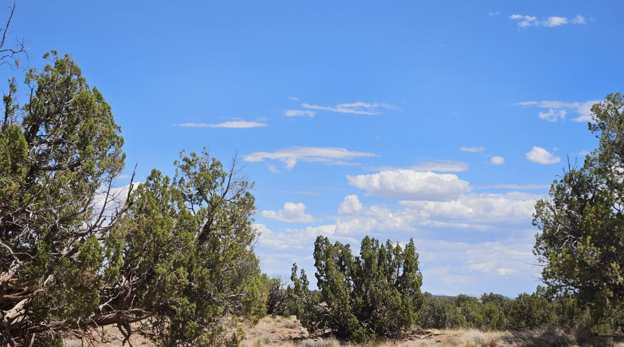 Resized_20250709_133920