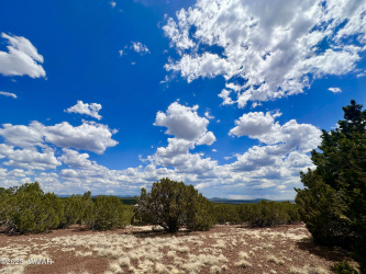 TBD County Rd N8157, Concho, Arizona 85924, ,Land,For Sale,County Rd N8157,256966
