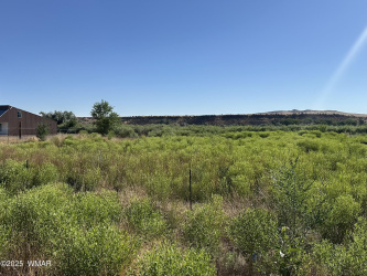 TBD Main Street, Springerville, Arizona 85938, ,Land,For Sale,Main,256958