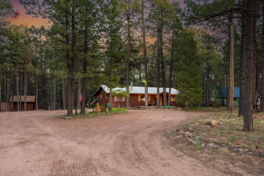 1875 Wildcat Road, Forest Lakes, Arizona 85931, Bedrooms, ,Bathrooms,Residential,For Sale,Wildcat,92532