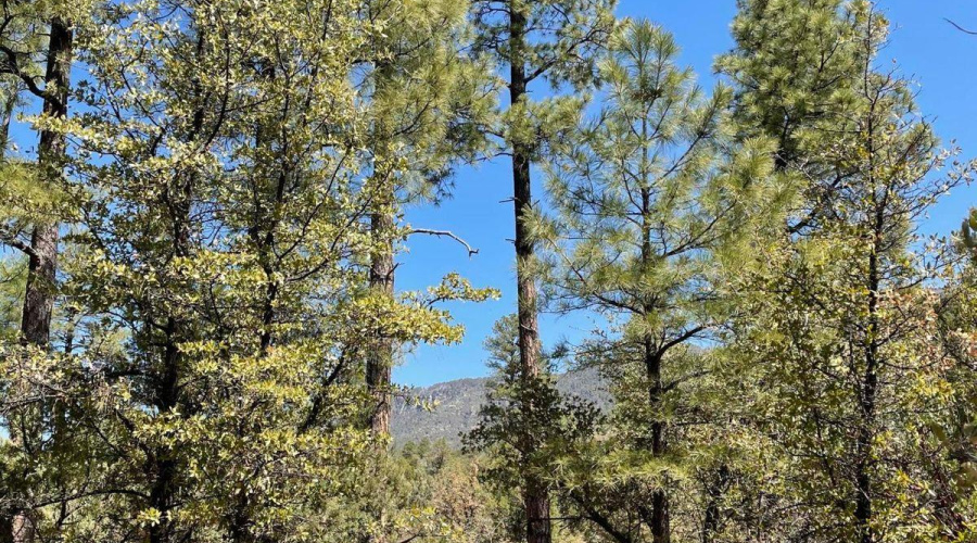 20210403153921464317000000-o