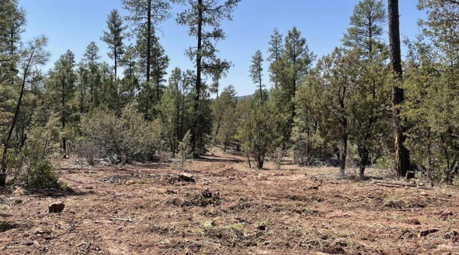 20211117213452715858000000-o