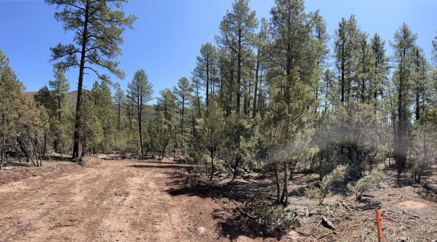 20211117213452512003000000-o