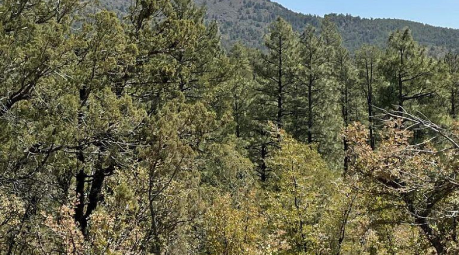 20211117213452206770000000-o